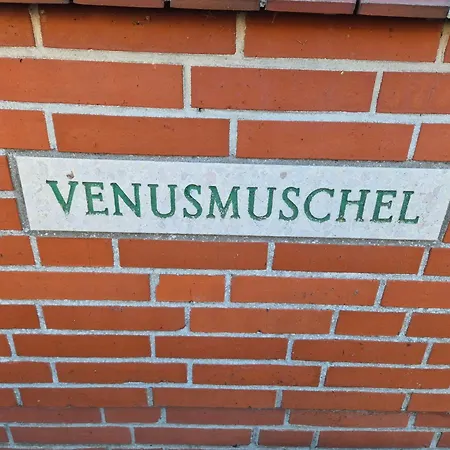 Prázdninový dům Fhvenusmuschel